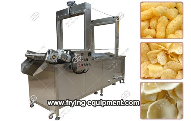 Continuous Fryer Manufacturer