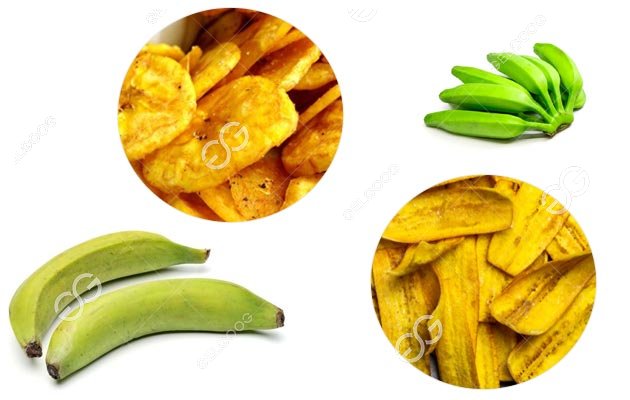 plantain chips business plan 